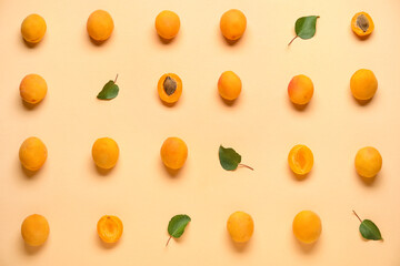 Many ripe apricots on color background