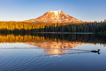 Sunset in the still water of Takhlakh Lake in the Gifford Pinchot National Forest with Mt Adams on the background.