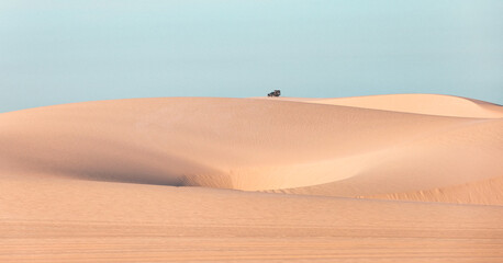 sand dunes in the desert