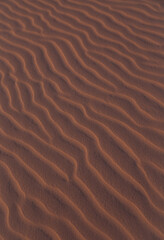 Fototapeta na wymiar ripples in the sand