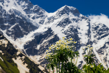 Beautiful mountain landscape. Alpine climbing. Sunset in the mountains. The Caucasus is a region spanning Europe and Asia. Elbrus region. Mountains landscape. 