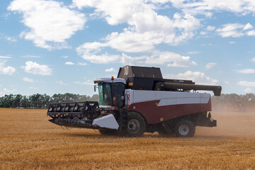 Wheat harvesting in the summer.  harvester working in the field