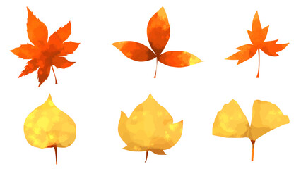 紅葉した葉っぱの水彩風イラストセット　Set of autumn leaves. Watercolor style illustration.