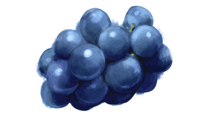 bunch of grapes isolated