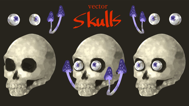 skulls set