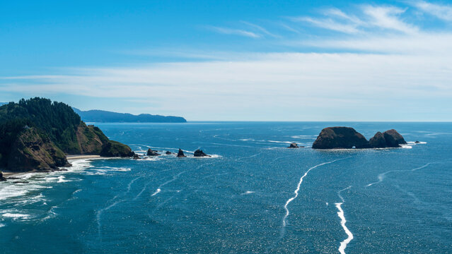 Cape Meares Lighthouse Octopus Tree State Park, in Tillamook County, Oregon