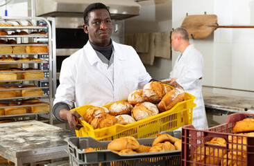 Professional African American baker working in bakehouse, carrying box with baked bread..