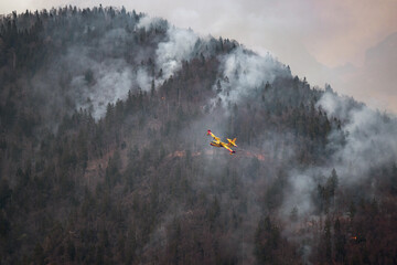 Firefighting airplane with water from a lake to extinguish wildfire in a forest