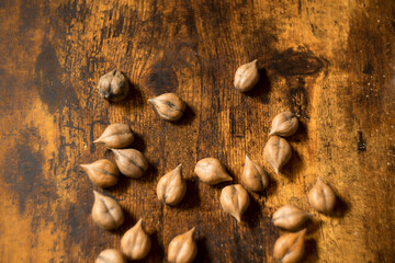 テーブルの上のくるみ　コーヒータイム