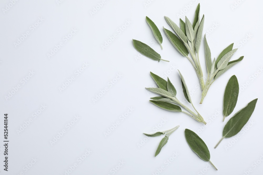 Poster Fresh green sage leaves on light background, flat lay. Space for text