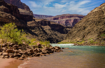 Fototapeta na wymiar Colorado River Rapids in The Grand Canyon