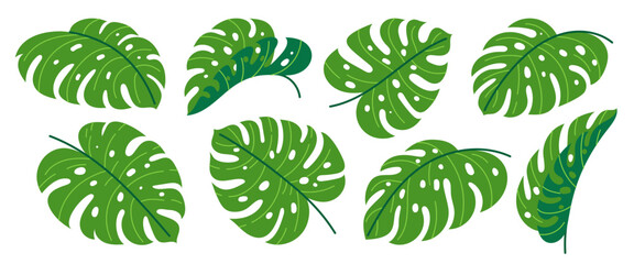 Monstera Deliciosa leaf flat icon set. Green tropical exotic plant. Summer beach hawaiian jungle forest foliage. Floral branch cartoon design element. Different shape single leaves isolated on white