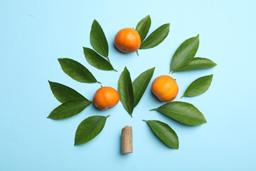 Flat lay composition with fresh green citrus leaves and tangerines on light blue background