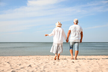 Mature couple spending time together on sea beach, back view