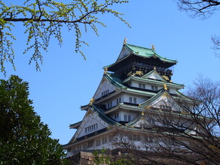 Fototapeta premium 大阪城