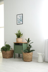 Different tropical plants in wicker pots near white wall at home