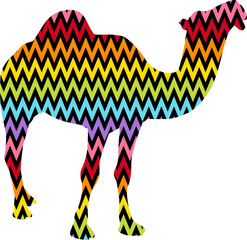 Pattern Camel