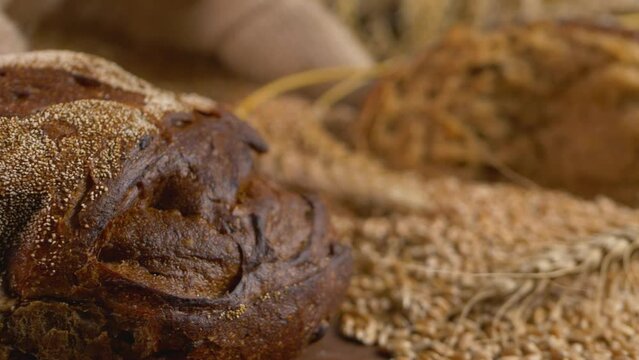 Bread made with rye grain, mill or grain elevator concept. Agrarian facility complex designed to stockpile or store grain. Organic farming, raw food, agricultural activity