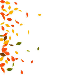 Falling autumn leaves. Red, yellow, green, brown c