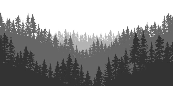 Mountain spruce forest. Vector illustration. Stock image. 