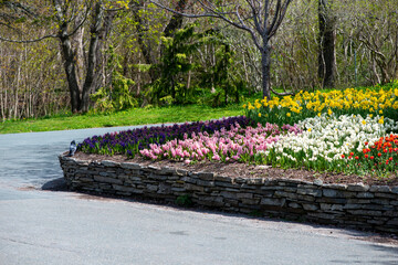 A curved rock wall with a bed of perennial flowers. The colorful garden has yellow, pink, white and yellow blooms in the curved shape designed stone wall. There are trees and a paved road in the park.