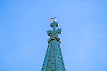 A church steeple made of copper with a blue green patina color. The tall religious spire in the shape of a cross against a blue sky background. The wild white and grey gull is perched on top of it.