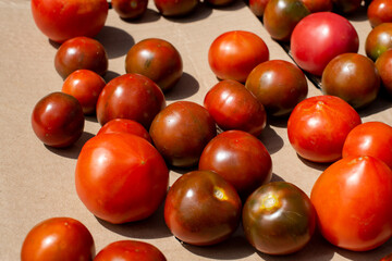 A top view of multiple vibrant ripe organic red cherry tomatoes in a large bowl.  All the ripe tomatoes except one have a stem on the tomato.  They are round vibrant full and juicy vegetables. 