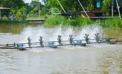 Spinning Paddle Wheel Aerators with Water Splash in the Pond