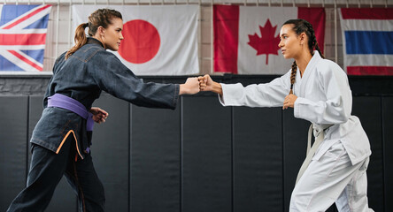 Women, martial arts and karate at a dojo for workout, exercise or health or aikido and fitness. Taekwondo, fighting and sports training people at the gym for a fight or international competition.