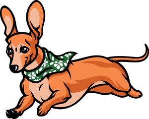 Illustration of Dachshund Dog Wears Neck Scarf Running