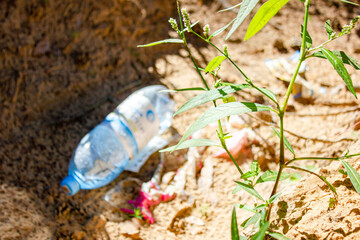 Garbage plastic, pollution of nature, planet.Plastic bottle on nature.The garbage plastic, pollution of nature, planet.Plastic bottle on nature.Pollution of nature, the planet with garbage, plastic