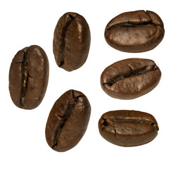 close up of coffee beans roasted, png file