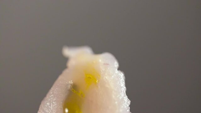 Close-up of yellow olive oil dripping on a piece of fresh sea bass - slow motion shot