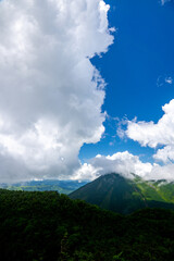 Obraz premium 夏の八ヶ岳 北横岳から蓼科山をのぞむ