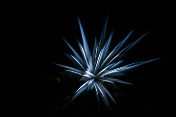 打ち上げ花火を特殊撮影したスピード感のある幻想的な光のイメージ