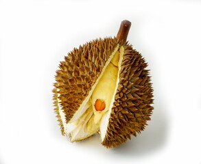 The durian has ripened and opened itself.
White background.