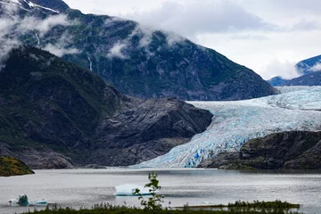 Gordijnen Mendenhall and other glaciers in Alaska © steve
