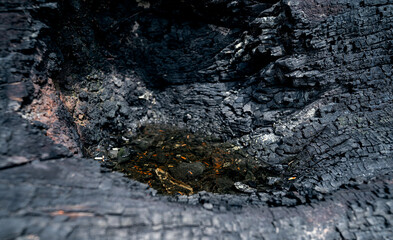 Close up view small puddle from the rain pouring down with water on burning log. Turned into char until black and charred.