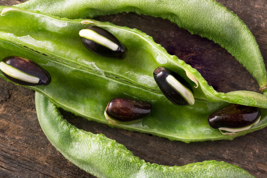 close-up macro view of hyacinth bean pods with seeds, lablab purpureus, also known as valor papdi beans, edible indian vegetable on wooden surface