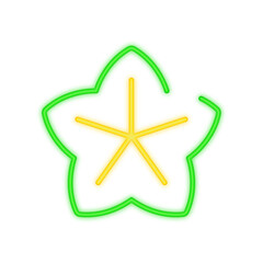 starfruit neon icon
