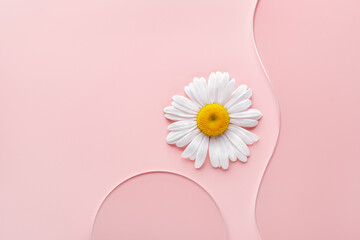 Empty round petri dish, wavy glass slide and chamomile flower on pink background. Mockup for...