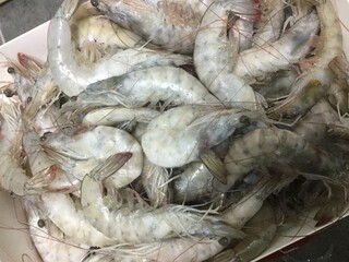 새우, prawn, shrimp