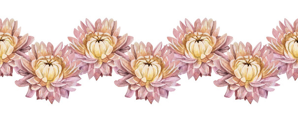 Fototapeta premium Seamless rim watercolor boho dry flower chrysanthemum on white background. Hand-drawn pink herbarium plant for wedding celebration card. Border for wallpaper wrapping sketchbook, decor interior