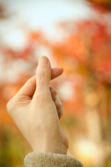 사랑의 계절 가을