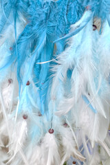 Obraz premium Bird feathers - glamour, fluffy gentle vertical background in white blue colors. Abstract, blur style and soft and delicate shade of pastel color for art design. Lightweight, stylish feminine backdrop