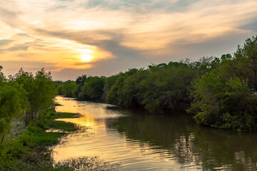Golden sunset reflection and cedar forest on a river in San Antonio Texas
