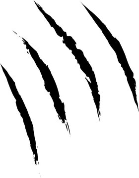 recommend clip art: Claw scratch silhouette icon