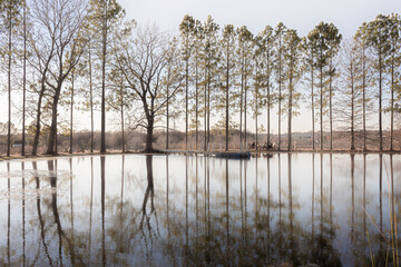 Das Peach Haus vineyard tree reflection at Fredericksburg Texas Hill Country