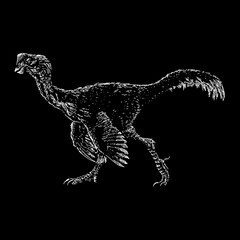 Fototapeta na wymiar Oviraptor hand drawing vector illustration isolated on black background