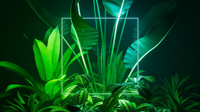 Blue and Green Neon Light with Tropical Leaves. Square shaped Fluorescent Frame in Exotic Environment.